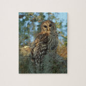 Barred Owl in einem spanischen Moos Puzzle (Vertikal)