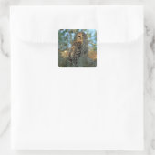 Barred Owl in einem spanischen Moos Quadratischer Aufkleber (Tasche)