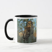 Barred Owl in einem spanischen Moos Tasse (Links)
