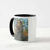Barred Owl in einem spanischen Moos Tasse (Vorderseite Links)