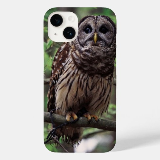 Barred Owl iPhone 14 Hülle (Rückseite)