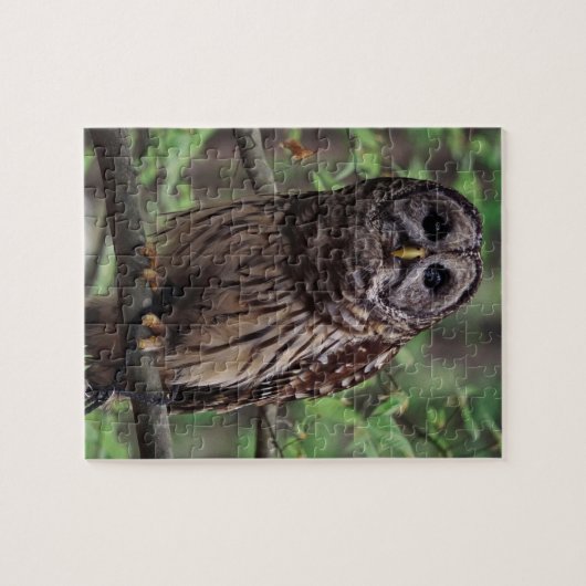 Barred Owl Jigsaw Puzzle (Horizontal)