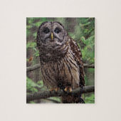 Barred Owl Jigsaw Puzzle (Vertikal)