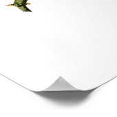 Barred Owl John James Audubon Birds of America Poster (Ecke)