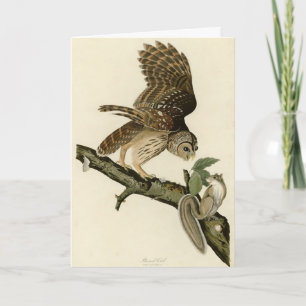 Barred Owl, John James Audubons Vögel von Amerika Karte