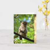 Barred Owl (juvenil) #3 - Blank Note Card Karte (Gelbe Blume)