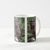 Barred Owl Kaffeetasse (VorderseiteRechts)