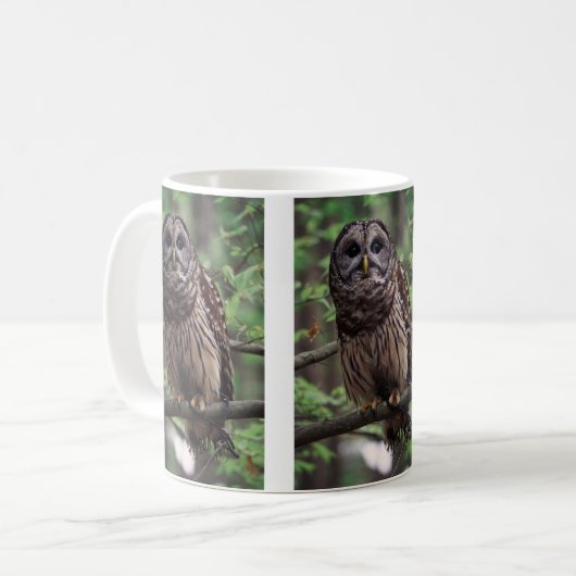 Barred Owl Kaffeetasse (Vorderseite Links)
