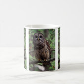 Barred Owl Kaffeetasse (Mittel)