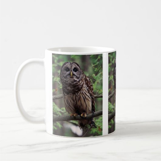 Barred Owl Kaffeetasse (Links)