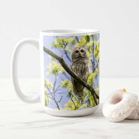Barred Owl Kaffeetasse (Mit Donut)