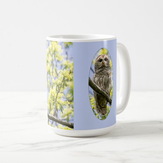 Barred Owl Kaffeetasse (VorderseiteRechts)