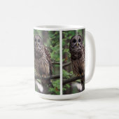 Barred Owl Kaffeetasse (VorderseiteRechts)