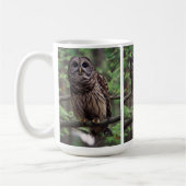 Barred Owl Kaffeetasse (Links)