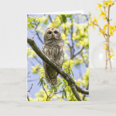 Barred Owl Karte (Gelbe Blume)