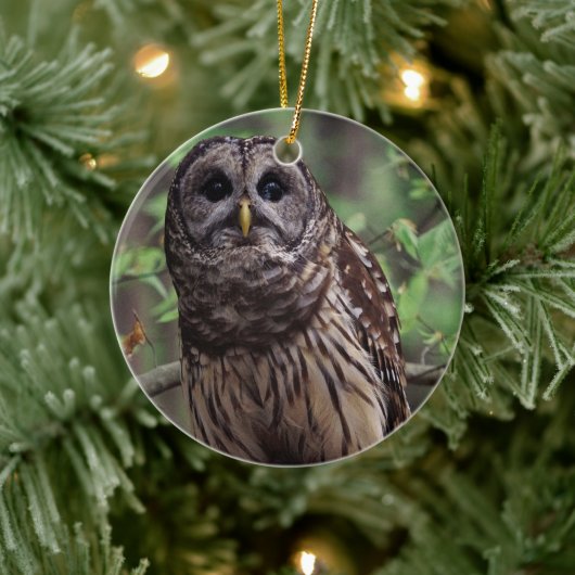 Barred Owl Keramik Ornament (Baum)