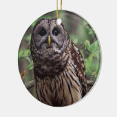 Barred Owl Keramik Ornament (Links)