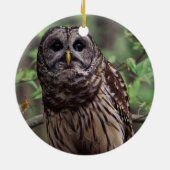 Barred Owl Keramik Ornament (Hinten)