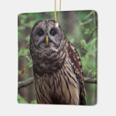 Barred Owl Keramikornament (Links)
