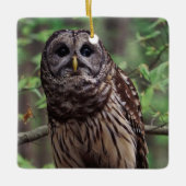 Barred Owl Keramikornament (Vorderseite)