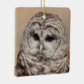 Barred Owl Keramikornament (Rechts)