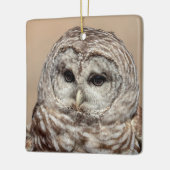 Barred Owl Keramikornament (Links)
