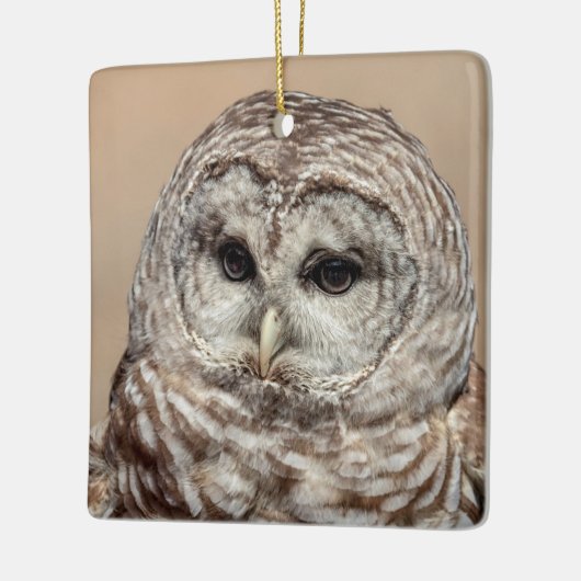 Barred Owl Keramikornament (Links)