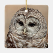 Barred Owl Keramikornament (Rückseite)