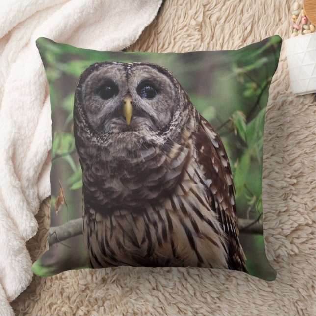 Barred Owl Kissen (Decke)