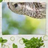 Barred Owl Küchentuch (Gefaltet)