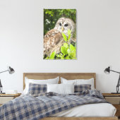 Barred Owl Leinwanddruck (Insitu (Schlafzimmer))