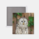 Barred Owl Magnet (Vorderseite/Rückseite)