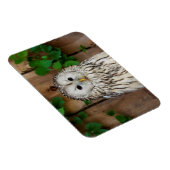 Barred Owl Magnet (Rechte Seite)