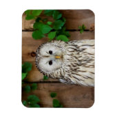 Barred Owl Magnet (Vertikal)