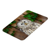 Barred Owl Magnet (Linke Seite)