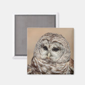 Barred Owl Magnet (Vorderseite/Rückseite)