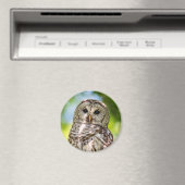 Barred Owl Magnet (In Situ (Geschirrspüler))
