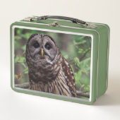 Barred Owl Metall Brotdose (Vorderseite)