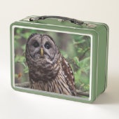 Barred Owl Metall Brotdose (Rückseite)