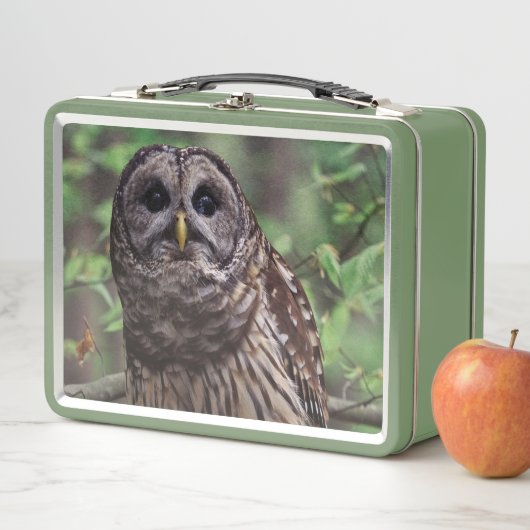 Barred Owl Metall Brotdose (Beispiel)