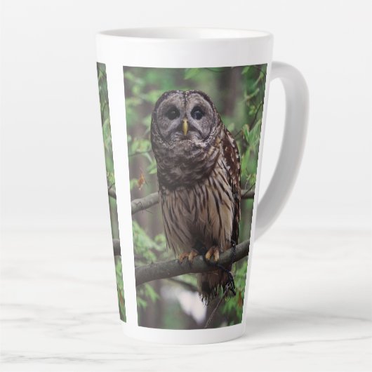 Barred Owl Milchtasse (Rechte Ecke)