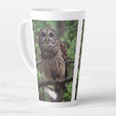 Barred Owl Milchtasse (Linke Ecke)