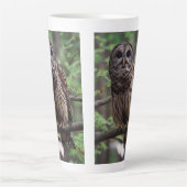 Barred Owl Milchtasse (Vorderseite)