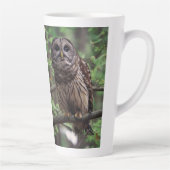 Barred Owl Milchtasse (Rechts)