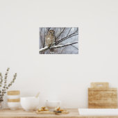 Barred Owl mit leichtem Schneefall Poster (Küche)