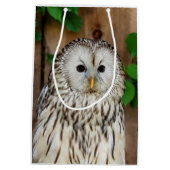 Barred Owl Mittlere Geschenktüte (Rückseite)