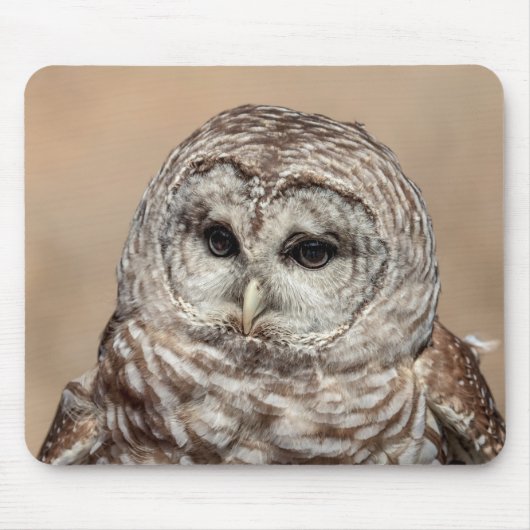 Barred Owl Mousepad (Vorne)