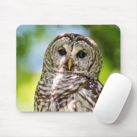 Barred Owl Mousepad (Mit Mouse)