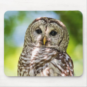 Barred Owl Mousepad