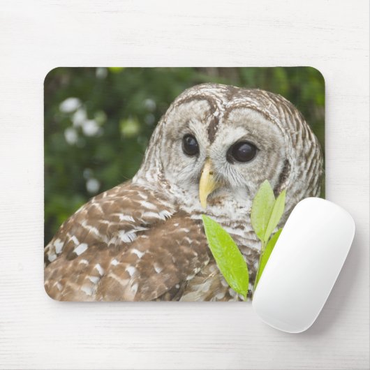 Barred Owl Mousepad (Mit Mouse)